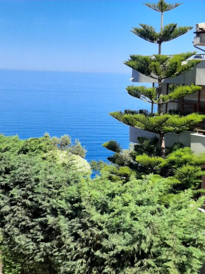 Apartament Apartamento